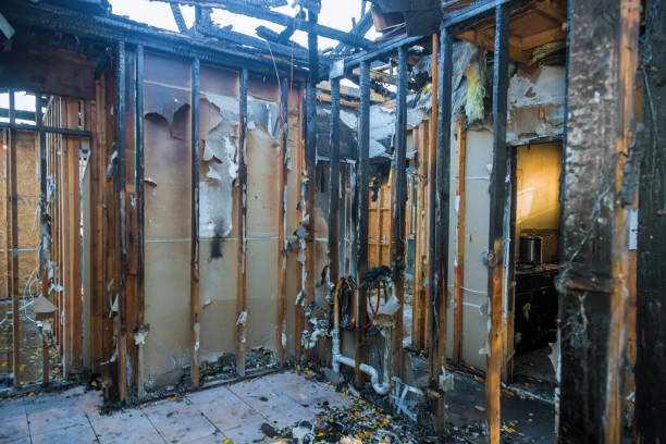 Professional Fire Damage Repair technician working in Dassel, MN