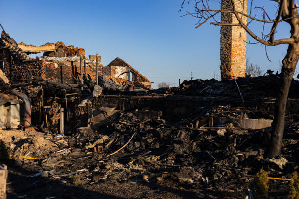 Reliable Fire Damage Repair contractor in Dassel, MN by Fire Damage Flint