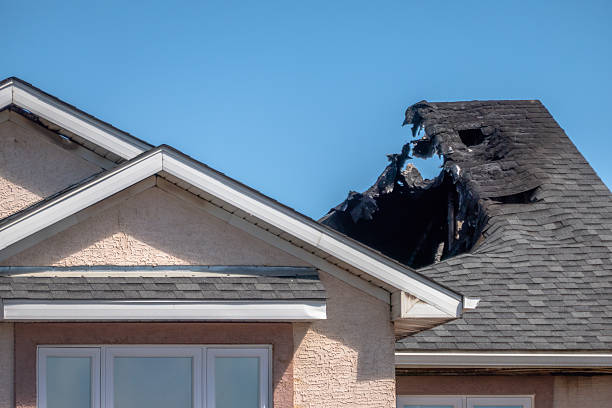 Top rated local Fire Damage Repair specialists in Dassel, MN